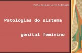 Patologias do sistema genital feminino Profa Rosaura Leite Rodrigues.