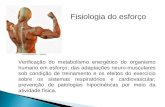 Fisiologia do esforço Verificação do metabolismo energético do organismo humano em esforço; das adaptações neuro-musculares sob condição de treinamento.