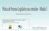 Prática de Processo Legislativo nas comissões – Módulo I Data: 02/07/2004 á 07/07/2004 Instrutor: Maria Auxiliadora Carvalho Batista - REPRODUÇÃO AUTORIZADA.