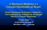 A Biomassa Moderna e a Geração Distribuída no Brasil Fórum Permanente de Energia e Ambiente – Universalização do Atendimento de Energia Elétrica e Geração.