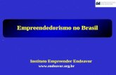 Empreendedorismo no Brasil  Instituto Empreender Endeavor.