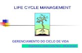 GERENCIAMENTO DO CICLO DE VIDA LIFE CYCLE MANAGEMENT Engenheira Lienne Carla Pires - 3M do BrasiL.