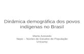 Dinâmica demográfica dos povos indígenas no Brasil Marta Azevedo Nepo – Núcleo de Estudos de População Unicamp.
