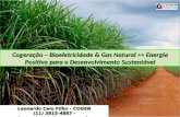 Cogeração – Bioeletricidade & Gas Natural >> Energia Positiva para o Desenvolvimento Sustentável Leonardo Caio Filho – COGEN (11) 3815-4887 - leonardo.caio@cogen.com.br.