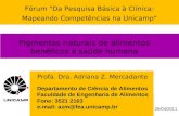 Fórum "Da Pesquisa Básica à Clínica: Mapeando Competências na Unicamp" 26/04/2011 Profa. Dra. Adriana Z. Mercadante Departamento de Ciência de Alimentos.