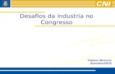 Desafios da industria no Congresso Vladson Menezes Novembro/2010.