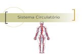 Sistema Circulatório. Sistema Circulatório - Sangue Promove a reparação dos tecidos lesados Colabora na resposta imunológica às infecções Regula o pH.