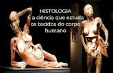 HISTOLOGIA É a ciência que estuda os tecidos do corpo humano.