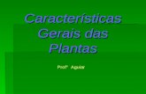 Características Gerais das Plantas Prof° Aguiar. Conquistas morfofisiológicas do meio terrestre Surgimento de algumas características morfológicas para.