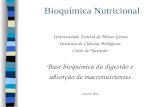 Bioquímica Nutricional Universidade Federal de Minas Gerais Instituto de Ciências Biológicas Curso de Nutrição Base bioquímica da digestão e absorção de.