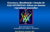 Aluna: Patricia de Lima Orientadora: Dra Cleida A. de Oliveira Belo Horizonte, Setembro 2004 Estrutura, distribuição e função de AQUAPORINAS: ênfase no.