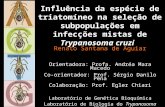 Influência da espécie de triatomíneo na seleção de subpopulações em infecções mistas de Trypanosoma cruzi Renato Santana de Aguiar Orientadora: Profa.