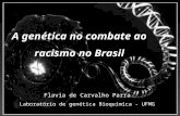 A genética no combate ao racismo no Brasil Flavia de Carvalho Parra Laboratório de genética Bioquímica - UFMG.