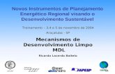 Mecanismos de Desenvolvimento Limpo MDL Ricardo Lacerda Baitelo Treinamento – 3,4 e 5 de novembro de 2004 Araçatuba - SP Novos Instrumentos de Planejamento.