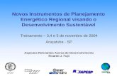 Aspectos Relevantes Acerca do Desenvolvimento Ricardo J. Fujii Treinamento – 3,4 e 5 de novembro de 2004 Araçatuba - SP Novos Instrumentos de Planejamento.
