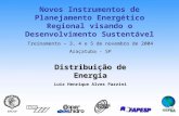 Distribuição de Energia Luiz Henrique Alves Pazzini Treinamento – 3, 4 e 5 de novembro de 2004 Araçatuba - SP Novos Instrumentos de Planejamento Energético.