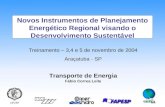 Transporte de Energia Fábio Correa Leite Treinamento – 3,4 e 5 de novembro de 2004 Araçatuba - SP Novos Instrumentos de Planejamento Energético Regional.