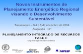 PLANEJAMENTO INTEGRADO DE RECURSOS FASE II Miguel Edgar Morales Udaeta Treinamento – 3,4 e 5 de novembro de 2004 Araçatuba - SP Novos Instrumentos de.