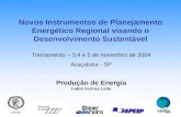 Produção de Energia Fabio Correa Leite Treinamento – 3,4 e 5 de novembro de 2004 Araçatuba - SP Novos Instrumentos de Planejamento Energético Regional.