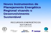Novos Instrumentos de Planejamento Energético Regional visando o Desenvolvimento Sustentável RECURSOS ENERGÉTICOS NATURAIS Decio Cicone Junior.