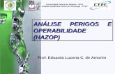 Prof. Eduardo Lucena C. de Amorim Universidade Federal de Alagoas – UFAL Unidade Acadêmica Centro de Tecnologia – CTEC ANÁLISE PERIGOS E OPERABILIDADE.