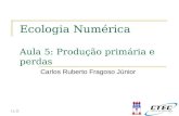 11:11 Ecologia Numérica Aula 5: Produção primária e perdas Carlos Ruberto Fragoso Júnior.