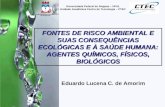 Eduardo Lucena C. de Amorim Universidade Federal de Alagoas – UFAL Unidade Acadêmica Centro de Tecnologia – CTEC FONTES DE RISCO AMBIENTAL E SUAS CONSEQUÊNCIAS.