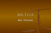 BOLÍVIA Nas Alturas. Bolívia Dados Gerais; Dados Gerais; Área : 1.098.581 km2 Área : 1.098.581 km2 População : 10,1 milhões População : 10,1 milhões Composição.