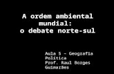 A ordem ambiental mundial: o debate norte-sul Aula 5 – Geografia Política Prof. Raul Borges Guimarães.