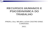 RECURSOS HUMANOS E PSICODINÂMICA DO TRABALHO PROFa. Dra. WILMA LUCIA CASTRO DINIZ CARDOSO 2011.