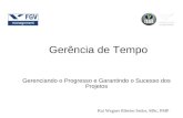 Gerência de Tempo Gerenciando o Progresso e Garantindo o Sucesso dos Projetos Rui Wagner Ribeiro Sedor, MSc, PMP.