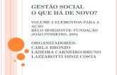GESTÃO SOCIAL O QUE HÁ DE NOVO? VOLUME 2 ELEMENTOS PARA A AÇÃO BELO HORIZONTE: FUNDAÇÃO JOÃO PINHEIRO, 2004 ORGANIZADORES: CARLA BRONZO LADEIRA CARNEIRO/BRUNO.