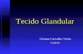 Tecido Glandular Giciane Carvalho Vieira FAMENE. Formação do Tecido Glandular.