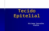 Tecido Epitelial Giciane Carvalho Vieira. Classificação do Tecido Epitelial Tecido Epitelial de Revestimento (TER) Tecido Glandular (TG)