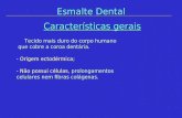 Esmalte Dental Características gerais Tecido mais duro do corpo humano Tecido mais duro do corpo humano que cobre a coroa dentária. que cobre a coroa dentária.