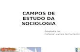 CAMPOS DE ESTUDO DA SOCIOLOGIA Adaptador por Professor Marcelo Rocha Contin.