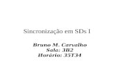 Sincronização em SDs I Bruno M. Carvalho Sala: 3B2 Horário: 35T34.