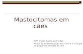 Mastocitomas em cães M.V. Vívian Rocha de Freitas Aluna de especialização em clínica e cirurgia de pequenos animais da UFV.
