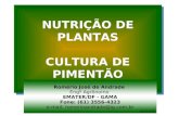 NUTRIÇÃO DE PLANTAS CULTURA DE PIMENTÃO Romério José de Andrade Engº Agrônomo EMATER/DF - GAMA Fone: (61) 3556-4323 e-mail: romerioandrade@ig.com.br set/2009.