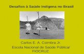 Desafios à Saúde Indígena no Brasil Carlos E. A. Coimbra Jr. Escola Nacional de Saúde Pública/ FIOCRUZ.