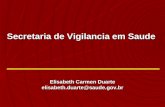Secretaria de Vigilancia em Saude Elisabeth Carmen Duarte elisabeth.duarte@saude.gov.br.