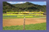 EXPOSIÇÃO HUMANA À AGROTÓXICOS NA REGIÃO SERRANA DO ESTADO DO RIO DE JANEIRO.