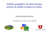 Padrões geográficos da dieta humana através da análise isotópica de unhas Gabriela Bielefeld Nardoto Jim Ehleringer, Jean Ometto, Luiz A. Martinelli University.