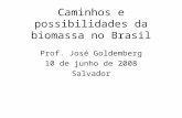 Caminhos e possibilidades da biomassa no Brasil Prof. José Goldemberg 10 de junho de 2008 Salvador.
