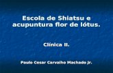 Escola de Shiatsu e acupuntura flor de lótus. Clínica II. Paulo Cesar Carvalho Machado Jr.