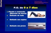 Prof. Alexandre Souza Disciplina de Métodos de Tratamento da Coluna Vertebral e Postura.