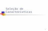 1 Seleção de Características. Universidade Federal do Paraná Setor de Tecnologia Departamento de Engenharia Elétrica TE073 – Processamento Digital de.
