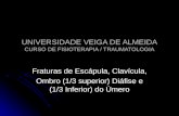 UNIVERSIDADE VEIGA DE ALMEIDA CURSO DE FISIOTERAPIA / TRAUMATOLOGIA Fraturas de Escápula, Clavícula, Ombro (1/3 superior) Diáfise e (1/3 Inferior) do Úmero.