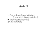 Aula 3 Complexo Magnoliidae (Laurales, Magnoliales) Monocotiledôneas (Alismatales)