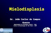 Mielodisplasia Dr. João Carlos de Campos Guerra Departamento de Patologia Clínica - HIAE Centro de Hematologia de São Paulo - CHSP.